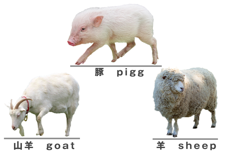 豚、山羊、羊のイメージ画像